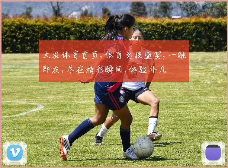 大发体育首页,体育竞技盛宴,一触即发,尽在精彩瞬间,体验非凡
